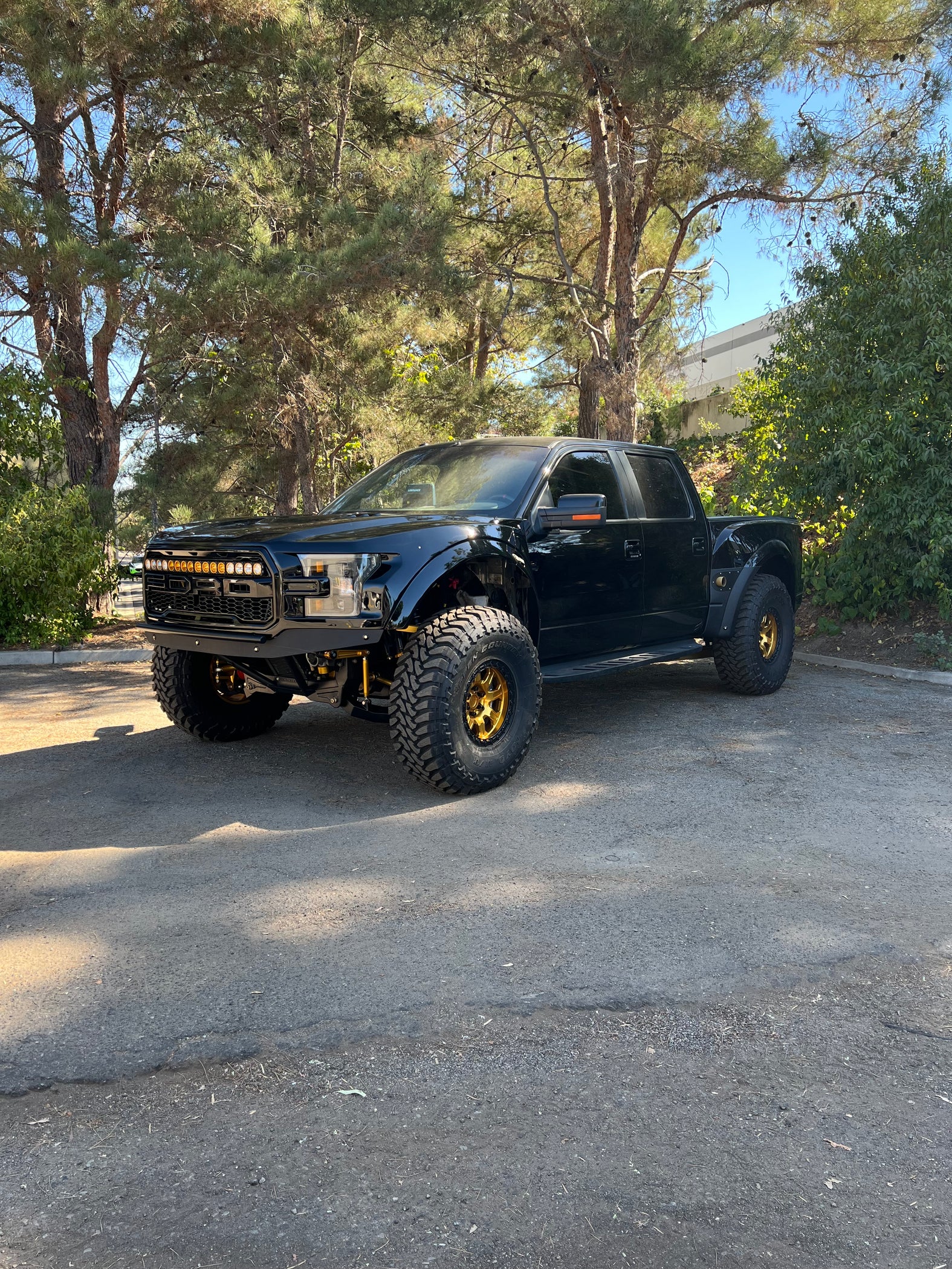 FORD RAPTOR - GEN1/GEN2/GEN3 F150 LONG TRAVEL KIT — Kibbetech