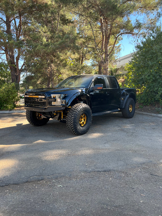 FORD RAPTOR - GEN1/GEN2/GEN3 F150 LONG TRAVEL KIT